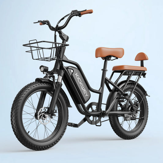LD20 Electric Fat Tire E Bike 1500W Removable Battery