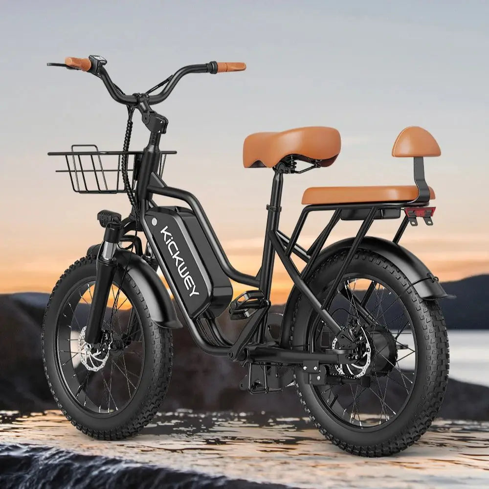 LD20 Electric Fat Tire E Bike 1500W Removable Battery