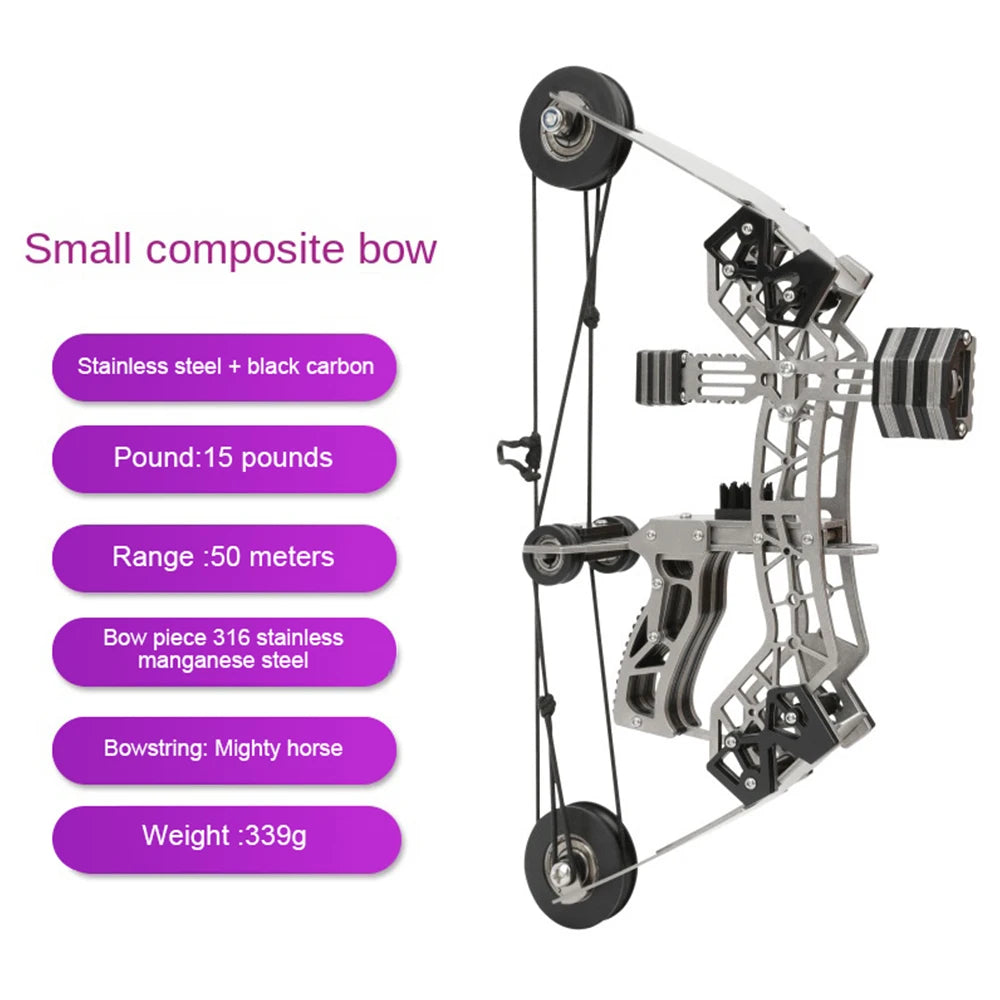 Mini Bow and Arrow Small Compound Bow Target Shooting Beginner's Entry Bow and Arrow
