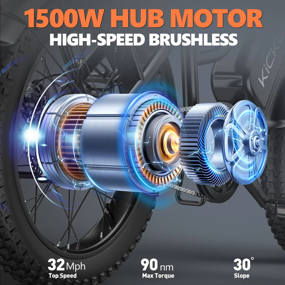 LD20 Electric Fat Tire E Bike 1500W Removable Battery