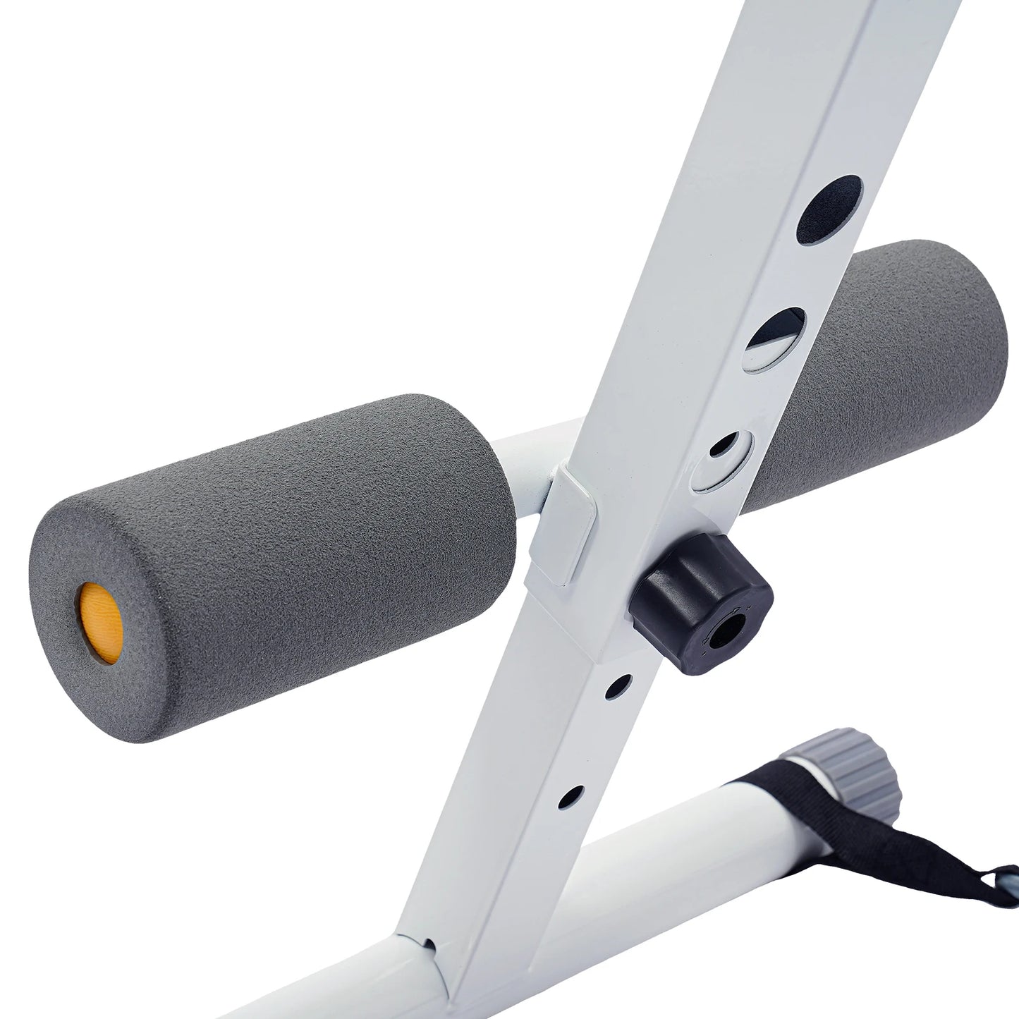 Abs Workout Trainer For Home Gym Whole Body Fitness