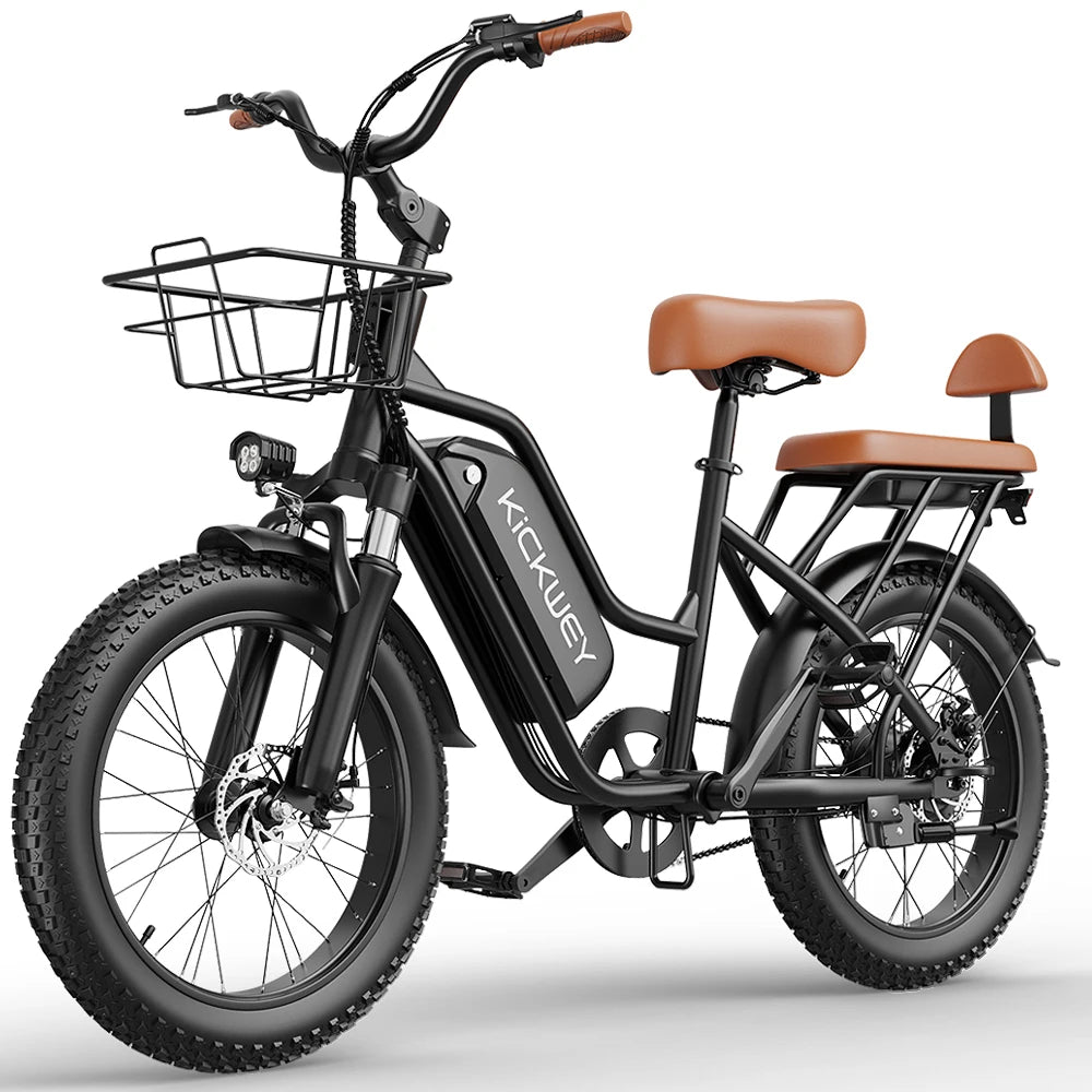 LD20 Electric Fat Tire E Bike 1500W Removable Battery